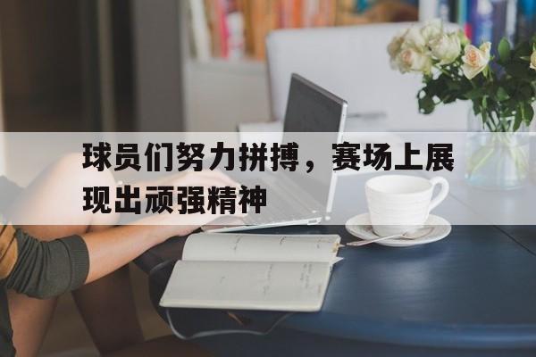 爱游戏ayx官网平台-球员们努力拼搏，赛场上展现出顽强精神