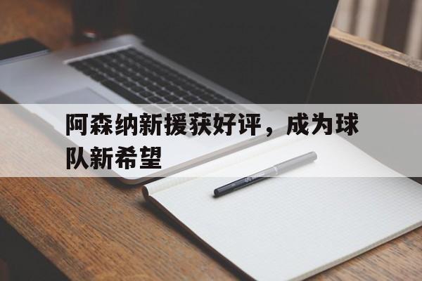 爱游戏ayx官网平台-阿森纳新援获好评，成为球队新希望