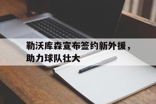 爱游戏ayx官网平台-勒沃库森宣布签约新外援，助力球队壮大